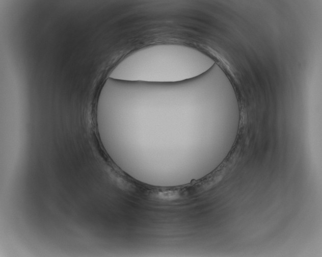 X0000110710353200906121100