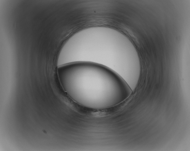 X0000110710362200906121100