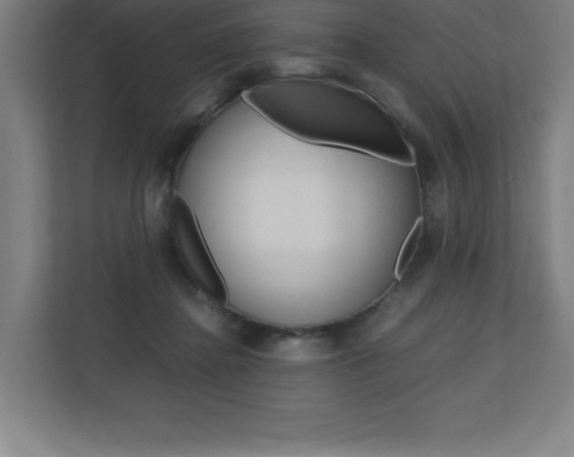 X0000110710364200906121100