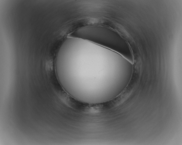 X0000110710368200906121100