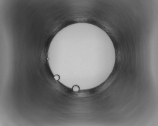 X0000110710370200906121100