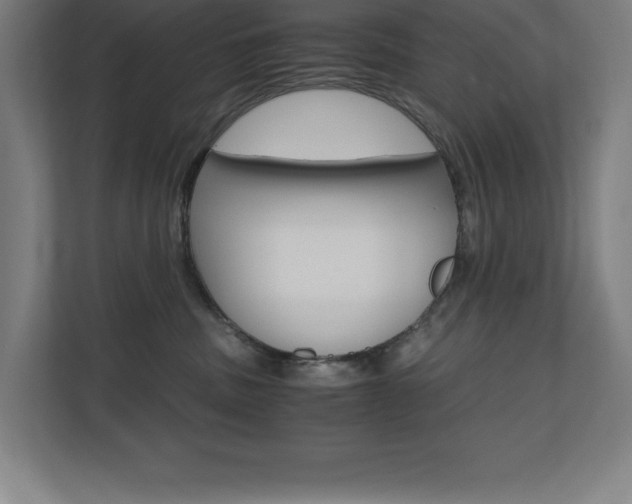 X0000110710379200906121101