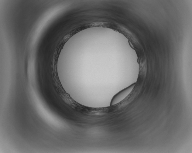 X0000110710381200906121101