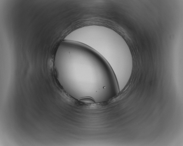 X0000110710382200906121101