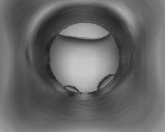 X0000110710383200906121101