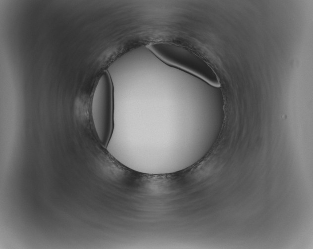 X0000110710384200906121101