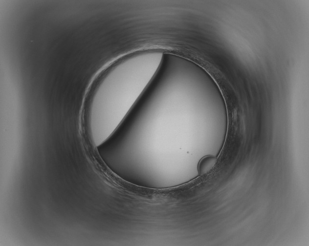X0000110710388200906121100