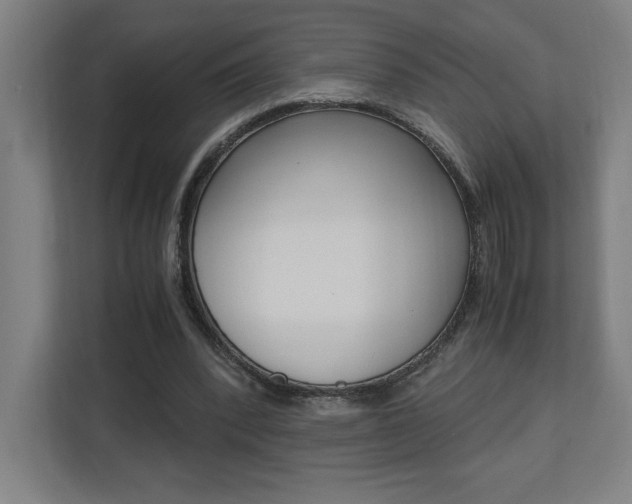 X0000110710392200906121100