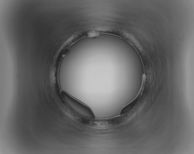 X0000110710395200906121100