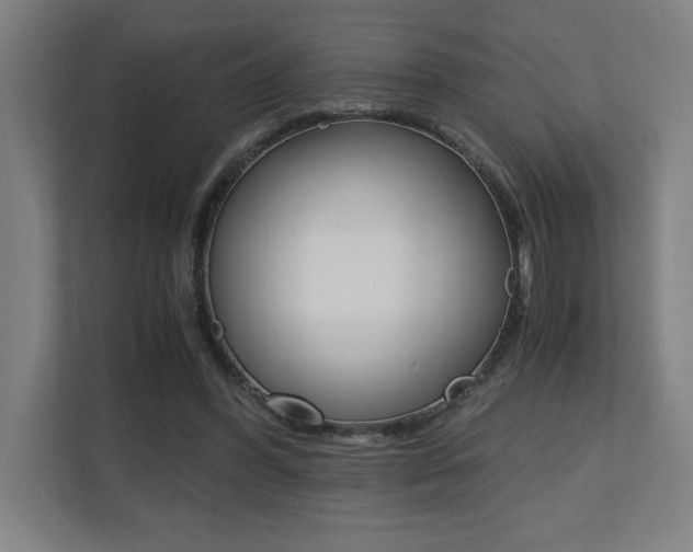 X0000110710396200906121100