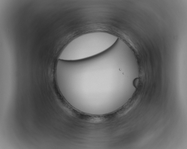 X0000110710402200906121100