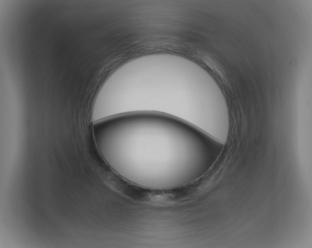 X0000110710407200906121100