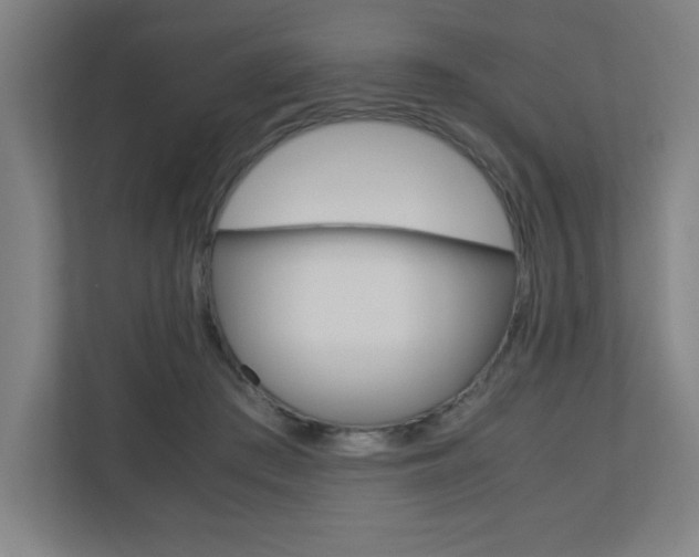 X0000110710409200906121100