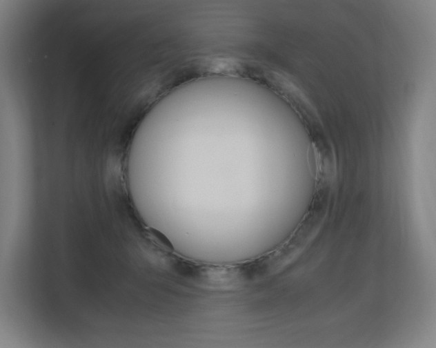 X0000110710415200906121100