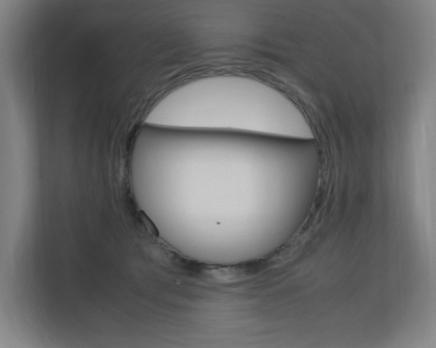 X0000110710417200906121100