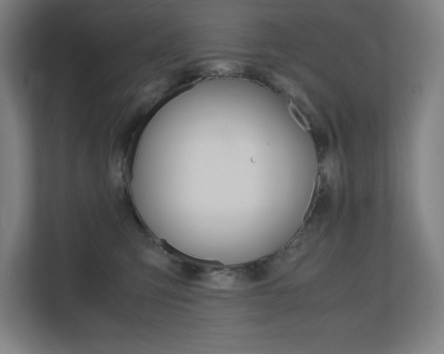 X0000110710423200906121059