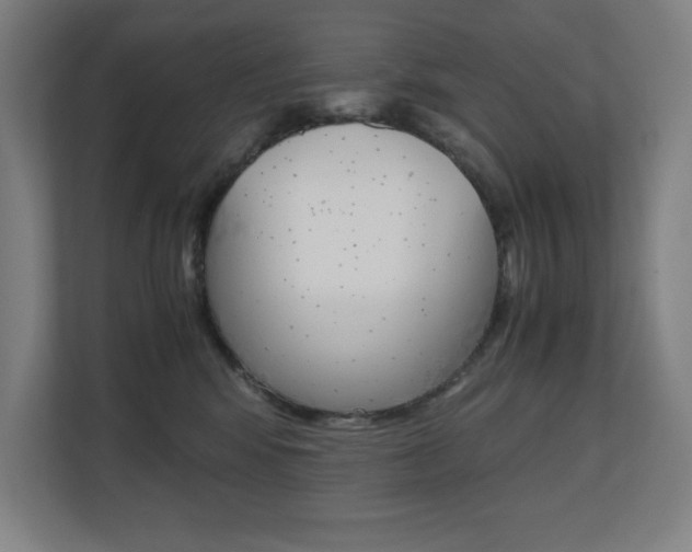X0000110710424200906121059