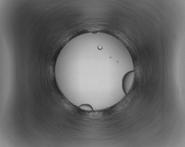 X0000110710426200906121059