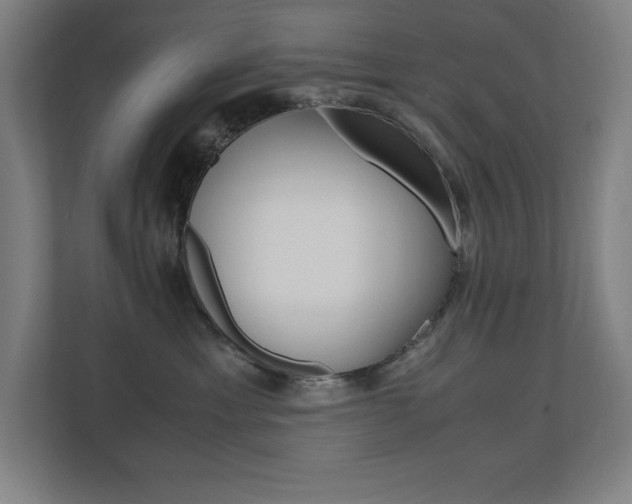 X0000110710429200906121059