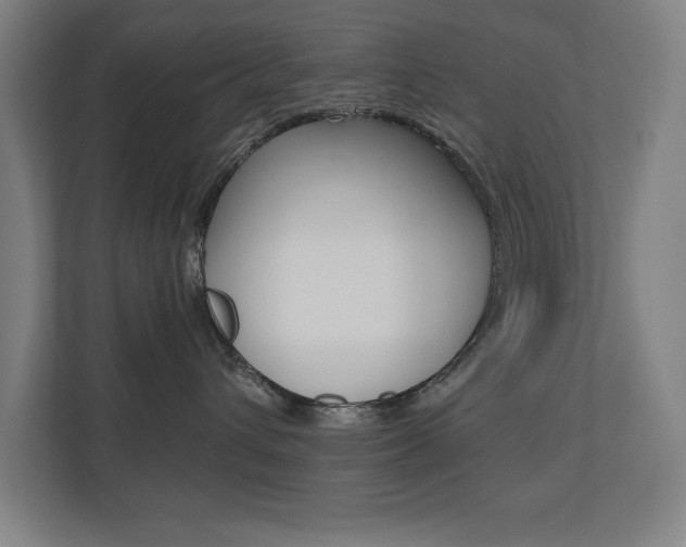 X0000110710432200906121059