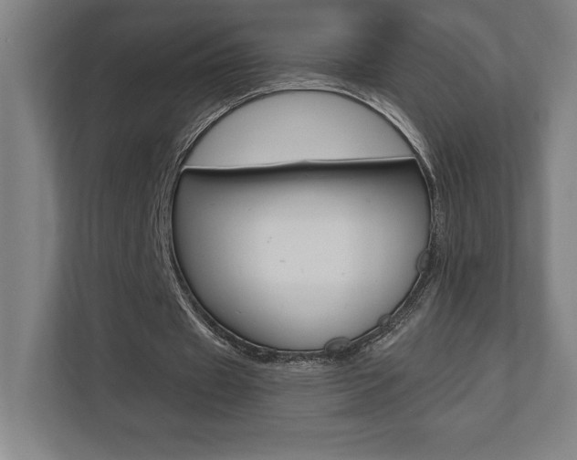 X0000110710433200906121059