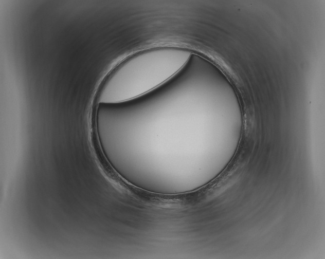 X0000110710438200906121059