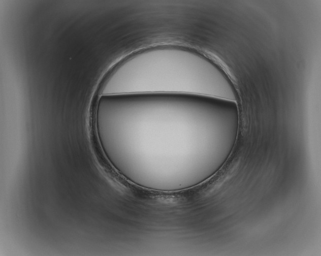 X0000110710439200906121059