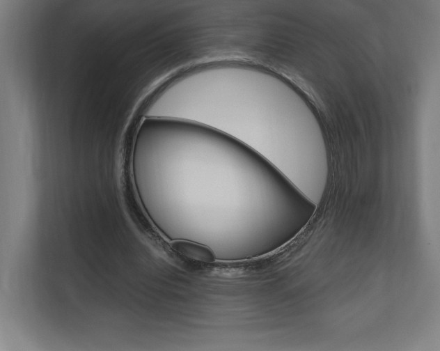 X0000110710440200906121059