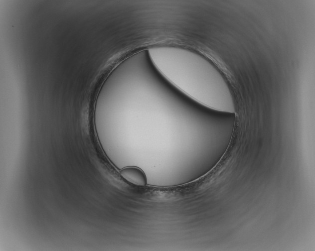 X0000110710442200906121059