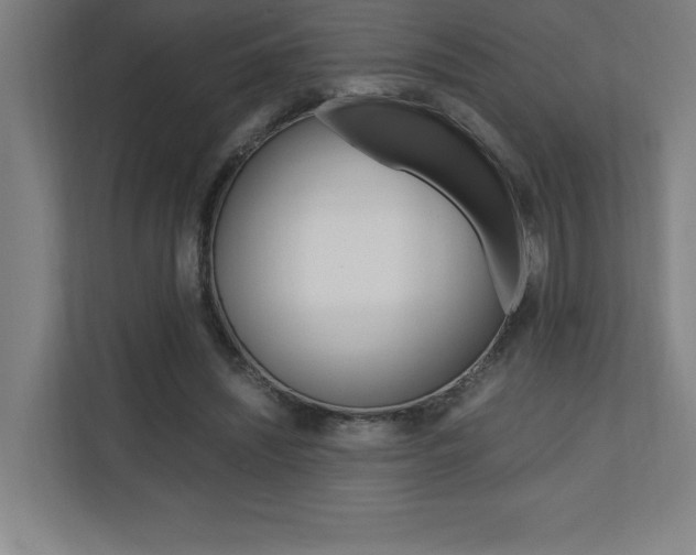 X0000110710444200906121059