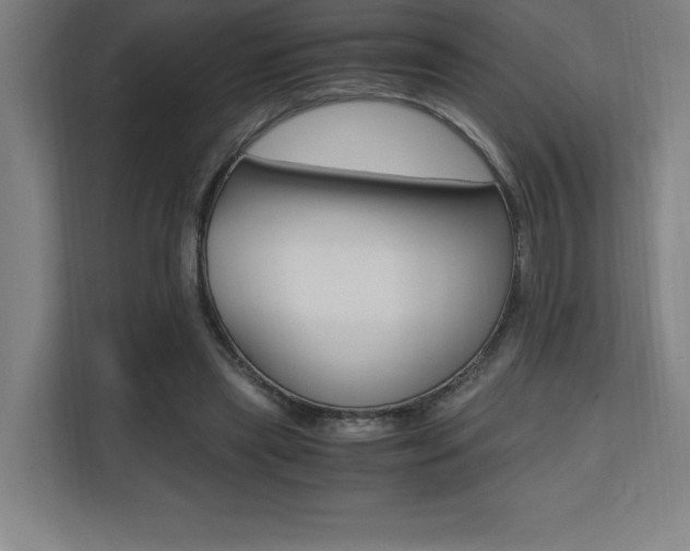 X0000110710445200906121059