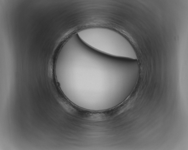 X0000110710446200906121059
