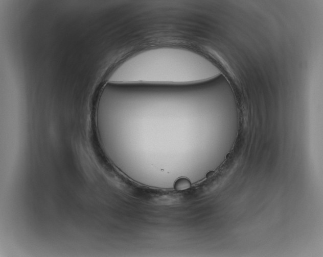 X0000110710447200906121059