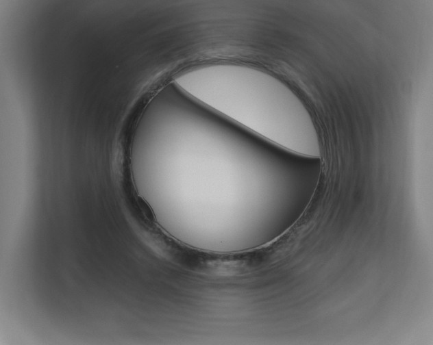 X0000110710448200906121059
