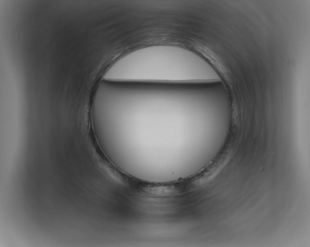 X0000110710449200906121059