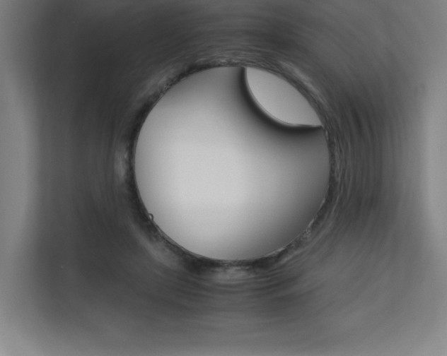 X0000110710451200906121059