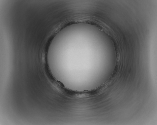 X0000110710452200906121059