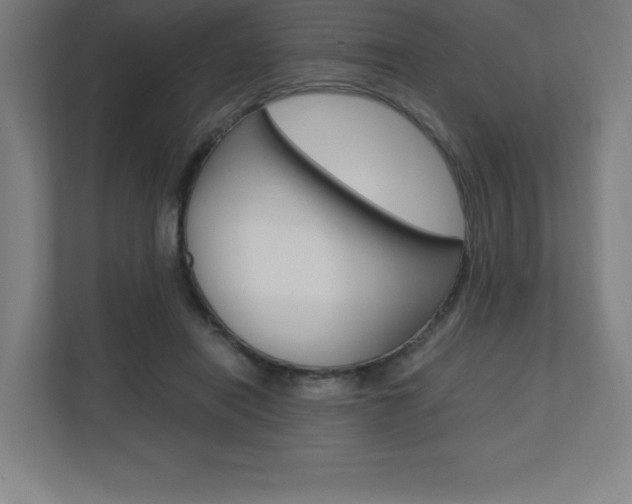 X0000110710454200906121059
