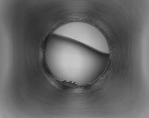 X0000110710456200906121059