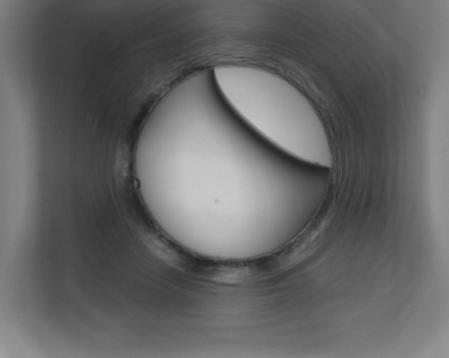 X0000110710458200906121059