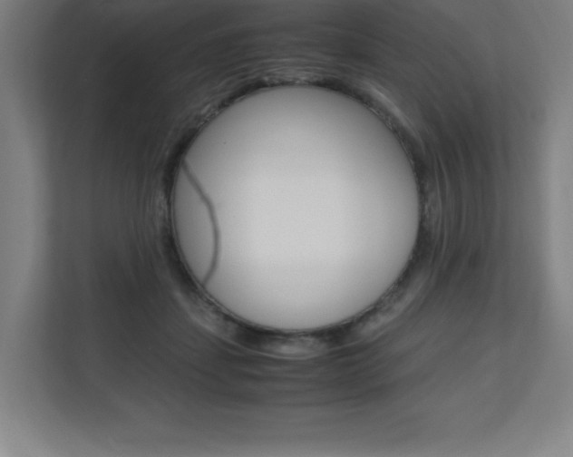 X0000110710459200906121059
