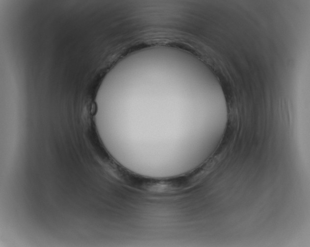X0000110710460200906121059