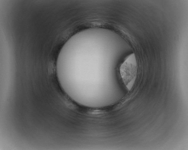 X0000110710467200906121059