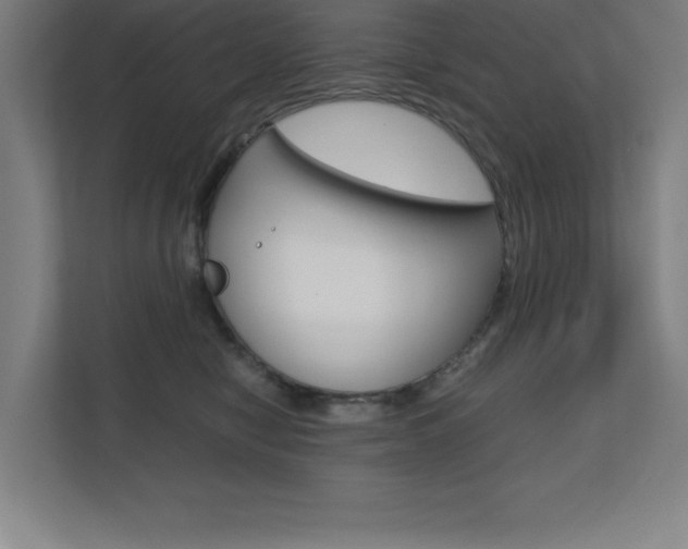 X0000110710470200906121059