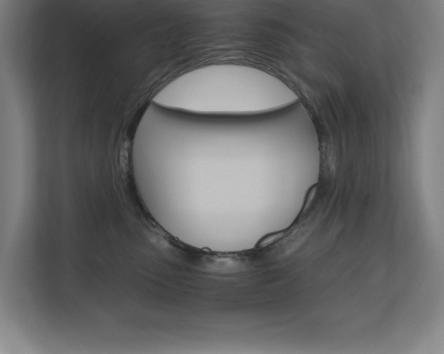 X0000110710475200906121059