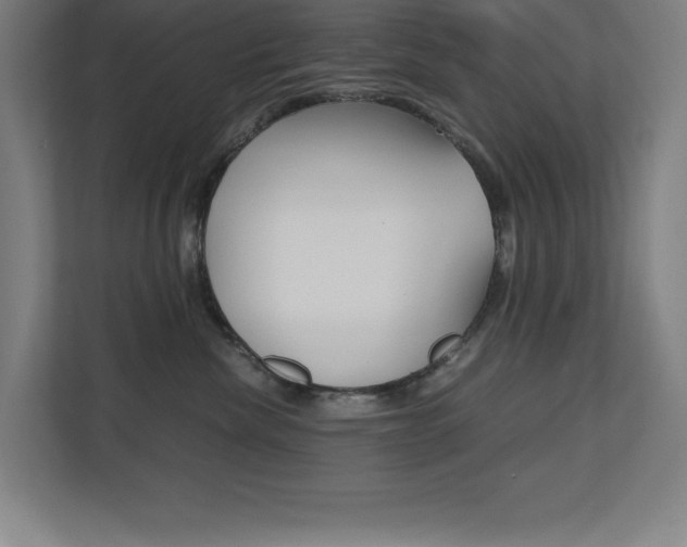 X0000110710476200906121059