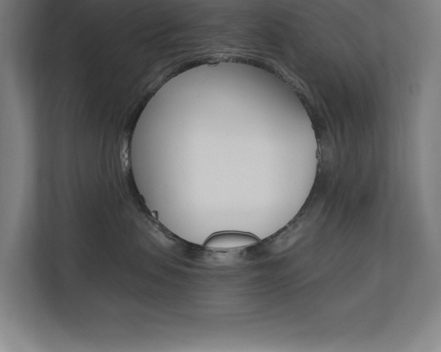 X0000110710479200906121059