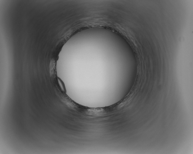X0000110710480200906121059