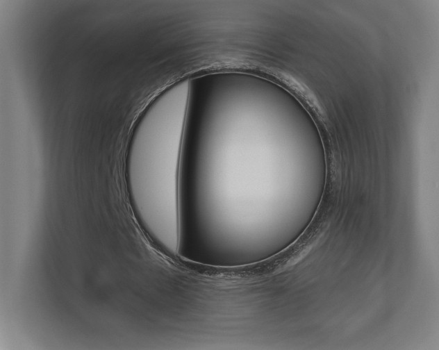 X0000110710481200906121059
