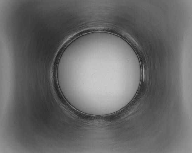 X0000110710483200906121059